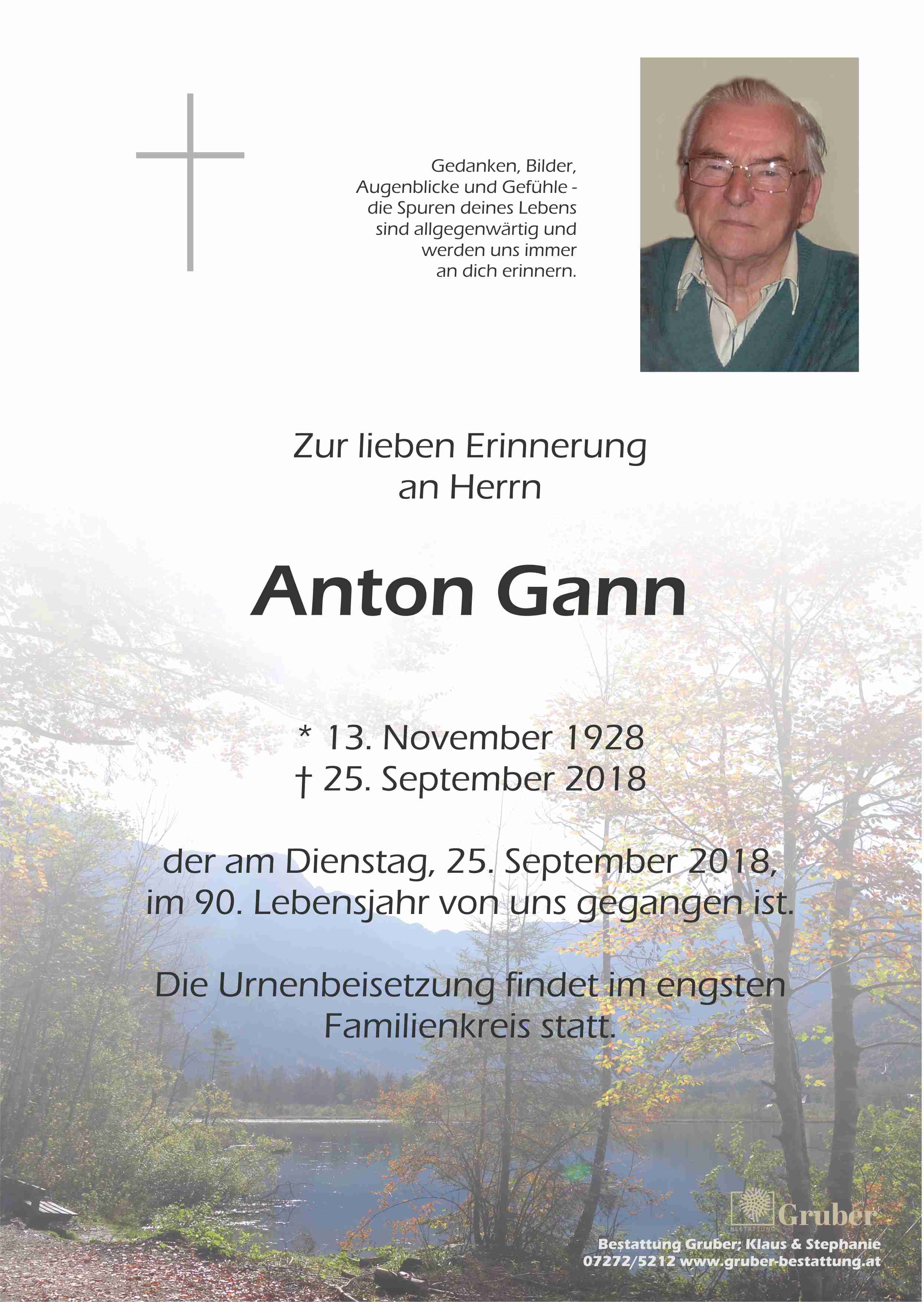 Anton Gann (Marchtrenk)