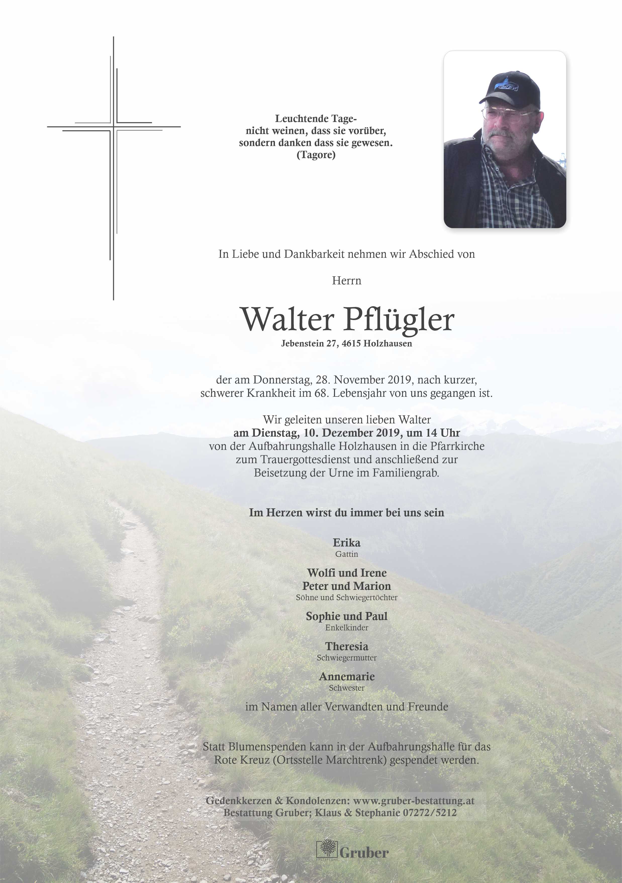 Walter Pflügler (Holzhausen)