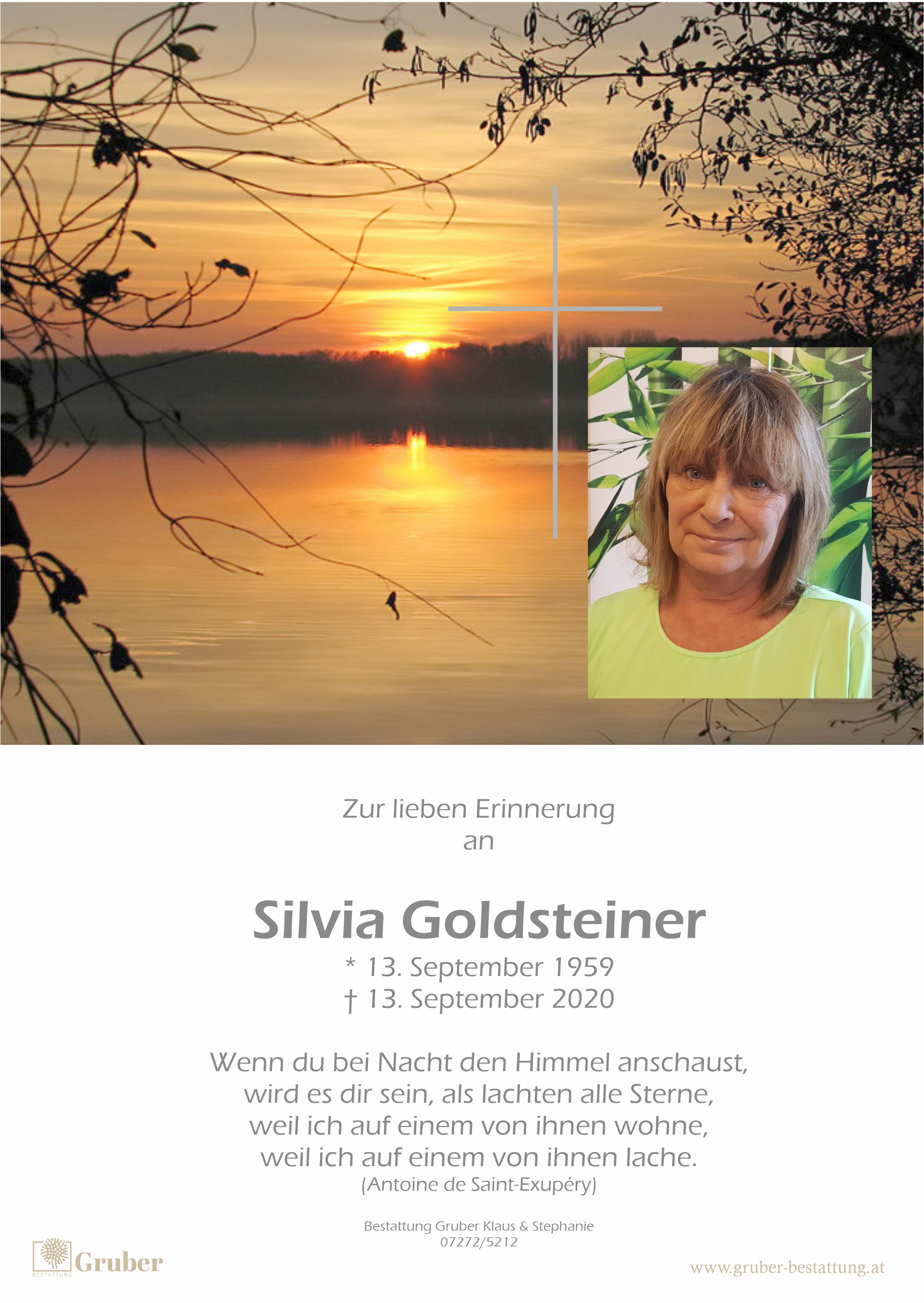 Silvia Goldsteiner (Wels)